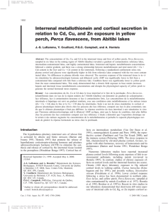 Interrenal metallothionein and cortisol secretion in Perca flavescens