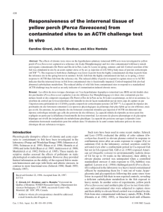 Responsiveness of the interrenal tissue of yellow perch ( in vivo