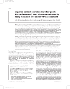 Impaired cortisol secretion in yellow perch Perca flavescens