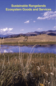 Sustainable Rangelands Ecosystem Goods and Services