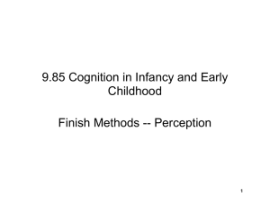 9.85 Cognition in Infancy and Early Childhood Finish Methods -- Perception 1
