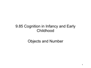 9.85 Cognition in Infancy and Early Childhood Objects and Number