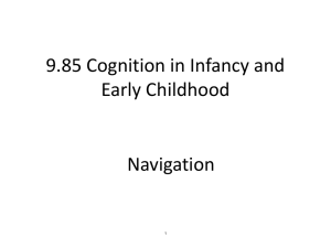 9.85 Cognition in Infancy and Early Childhood Navigation 1