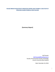 PELAGIC BIRDLIFE IN RELATION TO PREDATOR CONTROL AND TOURISM: A... PENGUINS IN BANKS PENINSULA NEW ZEALAND
