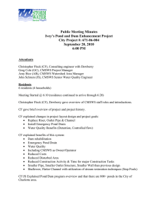 Public Meeting Minutes Ivey’s Pond and Dam Enhancement Project September 20, 2010