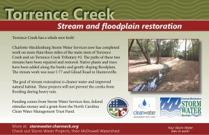 Torrence Creek Stream and floodplain restoration