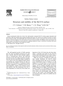 Structure and stability of the Si(1 0 5) surface C.V. Ciobanu