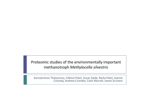 Proteomic studies of the environmentally important Methylocella silvestris