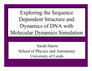 Exploring the Sequence Dependent Structure and Dynamics of DNA with Molecular Dynamics Simulation