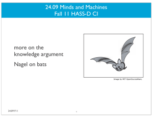 24.09 Minds and Machines Fall 11 HASS-D CI more on the knowledge argument