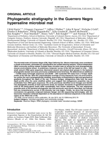 Phylogenetic stratigraphy in the Guerrero Negro hypersaline microbial mat ORIGINAL ARTICLE