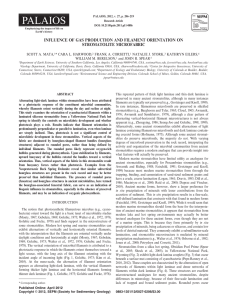 INFLUENCE OF GAS PRODUCTION AND FILAMENT ORIENTATION ON STROMATOLITE MICROFABRIC