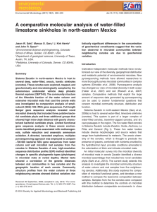 A comparative molecular analysis of water-filled limestone sinkholes in north-eastern Mexico