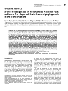 [FeFe]-hydrogenase in Yellowstone National Park: evidence for dispersal limitation and phylogenetic