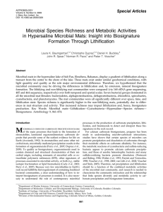 Microbial Species Richness and Metabolic Activities