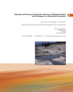 Hydrogen and Primary Productivity: Inference of Biogeochemistry