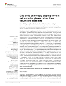 Grid cells on steeply sloping terrain: evidence for planar rather than