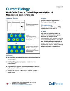 Grid Cells Form a Global Representation of Connected Environments Report Graphical Abstract