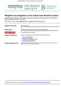 Weighted cue integration in the rodent head direction system