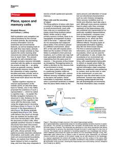 Place, space and memory cells