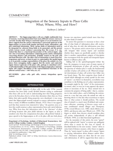COMMENTARY Integration of the Sensory Inputs to Place Cells: Kathryn J. Jeffery*