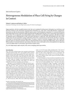 Heterogeneous Modulation of Place Cell Firing by Changes in Context Behavioral/Systems/Cognitive