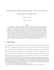 Experiential and Social Learning in Firms: The Case of Hydraulic