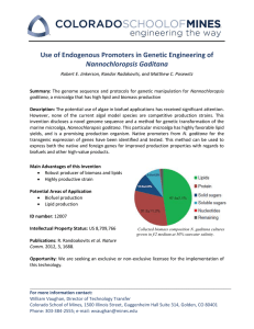 Use of Endogenous Promoters in Genetic Engineering of Nannochloropsis Gaditana