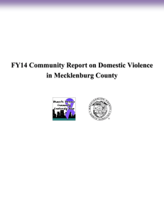 FY14 Community Report on Domestic Violence in Mecklenburg County