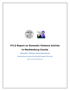 FY13 Report on Domestic Violence Activity in Mecklenburg County