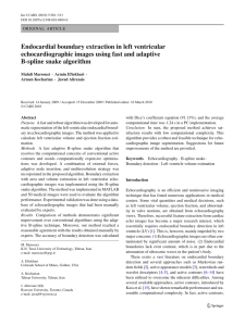 Endocardial boundary extraction in left ventricular B-spline snake algorithm