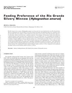 Hybognathus amarus Feeding Preference of the Rio Grande Silvery Minnow ( )