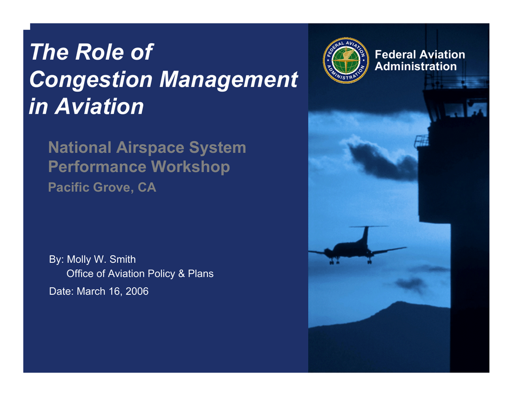 The Role of Congestion Management in Aviation National Airspace System