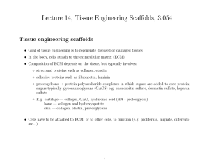 Lecture 14, Tissue Engineering Scaffolds, 3.054 engineering scaﬀolds Tissue