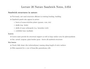 Lecture 20 Nature Sandwich Notes, 3.054 structures in nature Sandwich