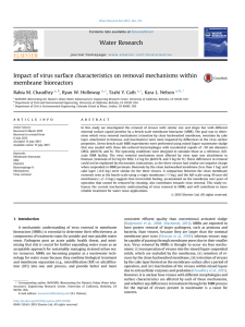 Impact of virus surface characteristics on removal mechanisms within membrane bioreactors