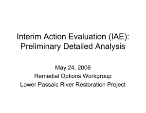 Interim Action Evaluation (IAE): Preliminary Detailed Analysis May 24, 2006 Remedial Options Workgroup