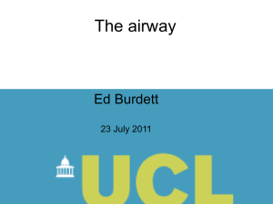 The airway Ed Burdett 23 July 2011