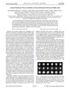 Lateral Membrane Waves Constitute a Universal Dynamic Pattern of Motile...