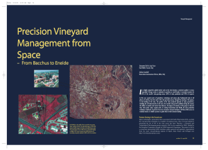 Precision Vineyard Management from Space I