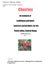 Cherries An analvsis of traditional and dwarf varieties and methods, for the