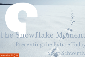 The Snowflake Moment  Presenting the Future Today Scott Schwertly