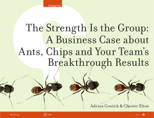 The Strength Is the Group: A Business Case about Breakthrough Results