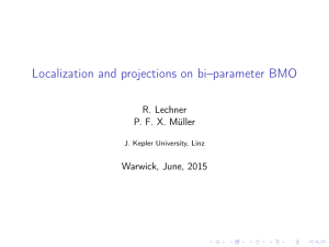 Localization and projections on bi–parameter BMO R. Lechner P. F. X. Müller