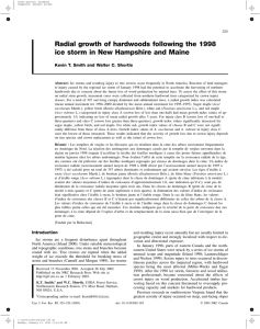 Radial growth of hardwoods following the 1998