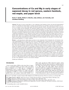 Concentrations of Ca and Mg in early stages of