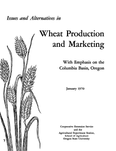 Wheat Production and Marketing Issues and Alternatives in With Emphasis on the