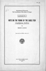 NOTE ON THE YOUNG OF THE SABLE FISH Anoplopoma fimbria