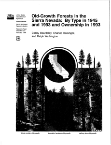 Old-Growth  Forests  in  the USDA