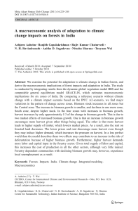 A macroeconomic analysis of adaptation to climate